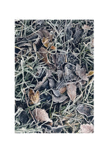 Load image into Gallery viewer, Fine Art Nature Photographic Prints