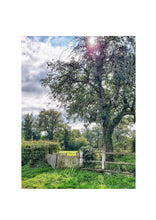 Load image into Gallery viewer, Fine Art Nature Photographic Prints