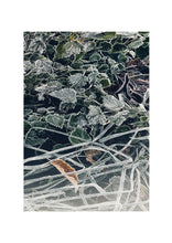 Load image into Gallery viewer, Fine Art Nature Photographic Prints