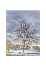 Load image into Gallery viewer, Fine Art Nature Photographic Prints