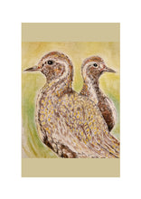 Load image into Gallery viewer, Birds of Countryside and Farmland