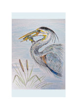 Load image into Gallery viewer, Birds of River and Coast Collection