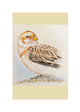 Load image into Gallery viewer, Birds of Countryside and Farmland