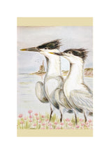 Load image into Gallery viewer, Birds of Countryside and Farmland