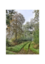 Load image into Gallery viewer, Fine Art Nature Photographic Prints
