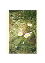 Load image into Gallery viewer, Fine Art Nature Photographic Prints
