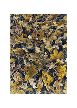 Load image into Gallery viewer, Fine Art Nature Photographic Prints
