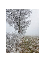 Load image into Gallery viewer, Fine Art Nature Photographic Prints
