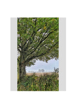 Load image into Gallery viewer, Fine Art Nature Photographic Prints
