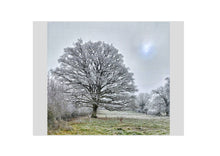 Load image into Gallery viewer, Fine Art Nature Photographic Prints
