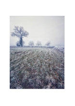 Load image into Gallery viewer, Fine Art Nature Photographic Prints
