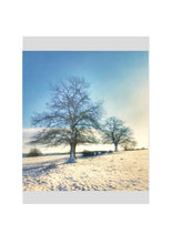 Load image into Gallery viewer, Fine Art Nature Photographic Prints
