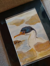 Load image into Gallery viewer, Imperial Shag fine art
