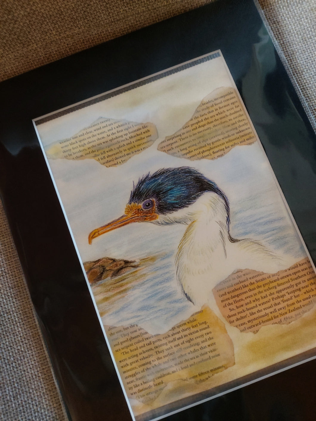 Imperial Shag fine art