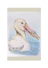Load image into Gallery viewer, Birds of River and Coast Collection
