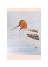 Load image into Gallery viewer, Birds of River and Coast Collection

