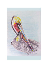 Load image into Gallery viewer, Birds of River and Coast Collection
