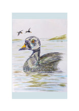 Load image into Gallery viewer, Birds of River and Coast Collection
