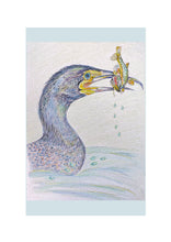 Load image into Gallery viewer, Birds of River and Coast Collection

