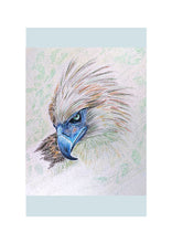 Load image into Gallery viewer, Birds of Countryside and Farmland
