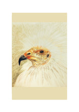 Load image into Gallery viewer, Birds of Countryside and Farmland
