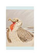 Load image into Gallery viewer, Birds of River and Coast Collection
