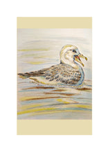 Load image into Gallery viewer, Birds of River and Coast Collection

