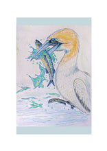 Load image into Gallery viewer, Birds of River and Coast Collection
