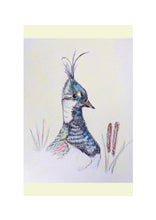 Load image into Gallery viewer, Birds of Countryside and Farmland
