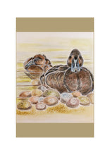 Load image into Gallery viewer, Birds of River and Coast Collection
