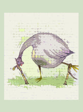 Load image into Gallery viewer, Pipi Aida Cross Stitch
