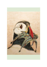 Load image into Gallery viewer, Birds of River and Coast Collection
