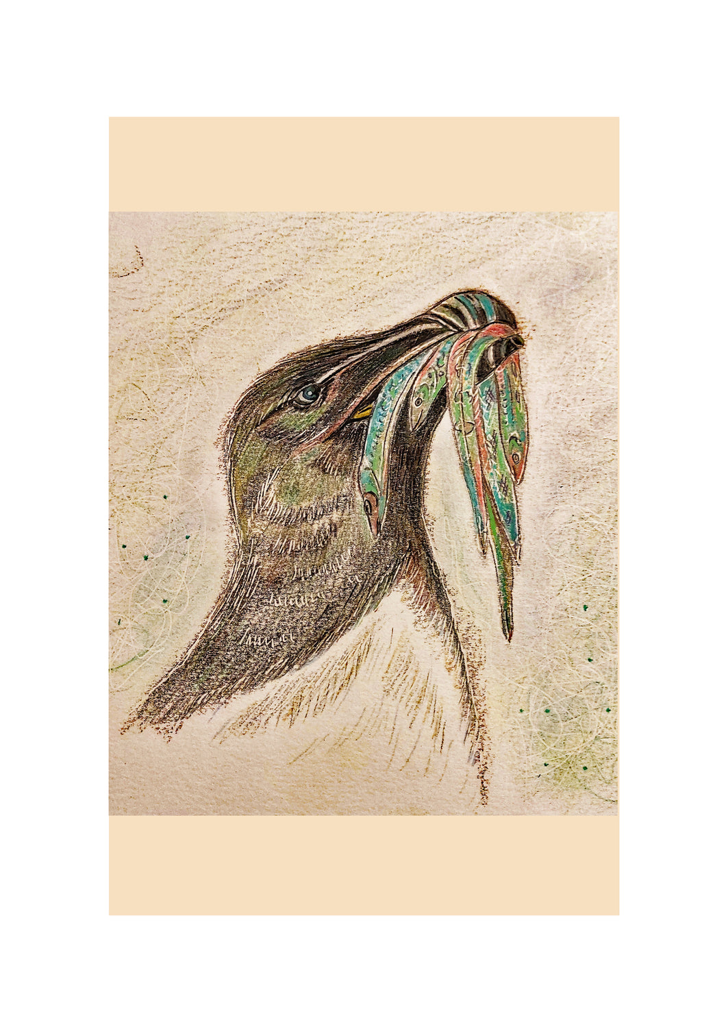 Birds of River and Coast Collection